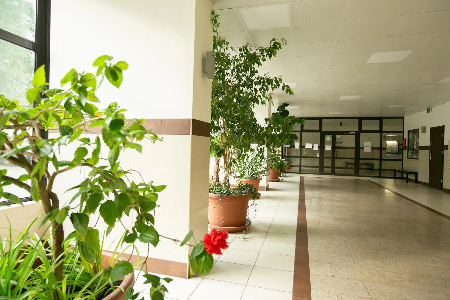 Przechodnia 2 Yellow - Biurko Oraz Wygodny Fotel Do Pracy - Better Rental Βαρσοβία